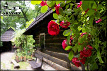 Pszczyna - Zagroda Wsi Pszczy�skiej