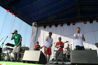 zdj